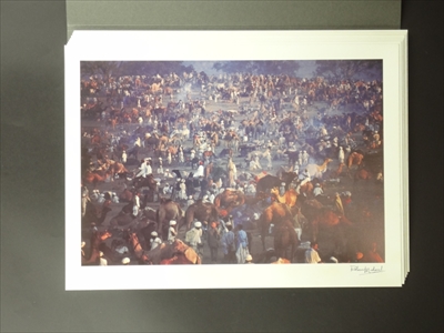 Rêve Indien_写真6