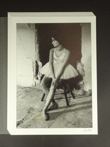 Les Saltimbanques - Portfolio_写真4