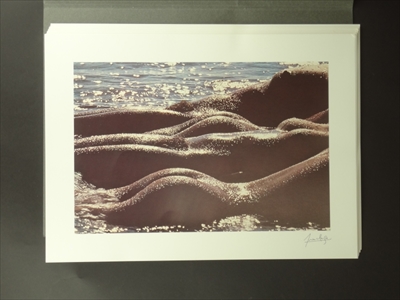 Belle des sables - Portfolio_写真4