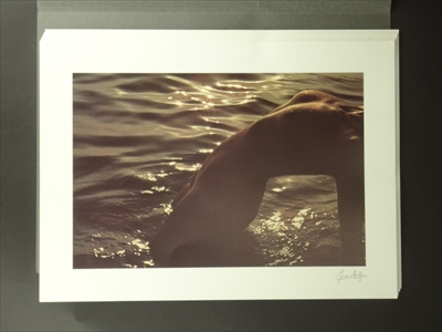 Belle des sables - Portfolio_写真5