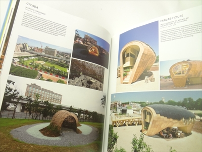 Going Public: Public Architecture, Urbanism and Interventions_写真6