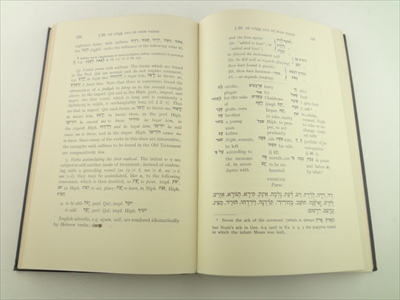 An Introductory Hebrew Grammar, with Progressive Exercises in Reading, Writing and Pointing_写真1