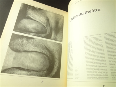 Théâtre de la Bastille revue programme #15_写真6