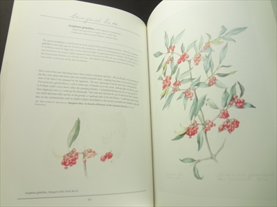 Margaret Mee: Return to the Amazon_写真2