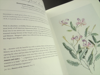 Margaret Mee: Return to the Amazon_写真3