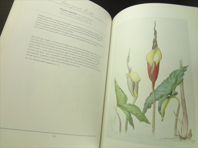 Margaret Mee: Return to the Amazon_写真4