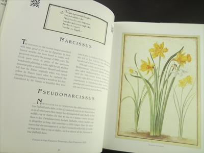 So Many Sweet Flowers: A Seventeenth-Century Florilegium_写真2