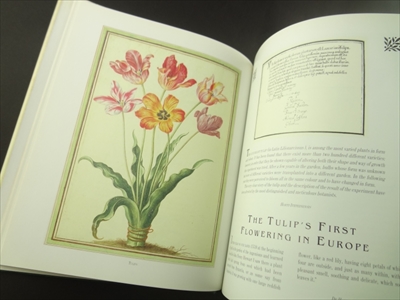 So Many Sweet Flowers: A Seventeenth-Century Florilegium_写真3