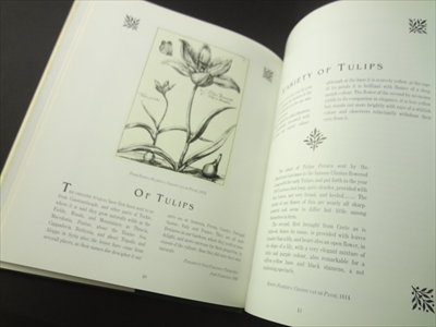 So Many Sweet Flowers: A Seventeenth-Century Florilegium_写真4