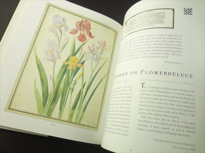 So Many Sweet Flowers: A Seventeenth-Century Florilegium_写真5