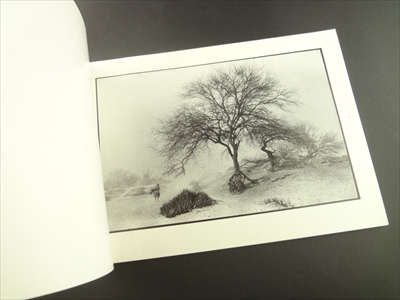 Retornos a Oapan_写真1