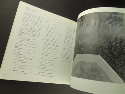 メキシコの美術-革命と情熱_写真5