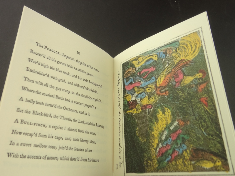 ちょうちょうの舞踏会とバッタの宴会 | くじゃく家の祝宴3