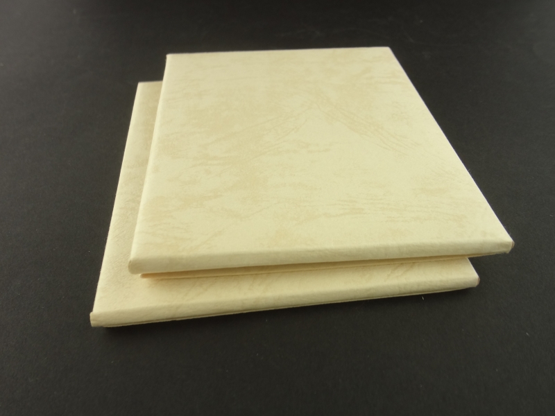 ちょうちょうの舞踏会とバッタの宴会 | くじゃく家の祝宴5