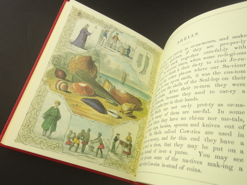 大洋に棲む動物たち2