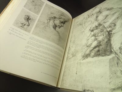 Michel-Ange, l'artiste, sa pensée, l'écrivain_写真6