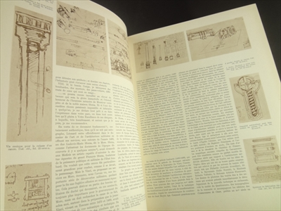 Leonard De Vinci_写真3