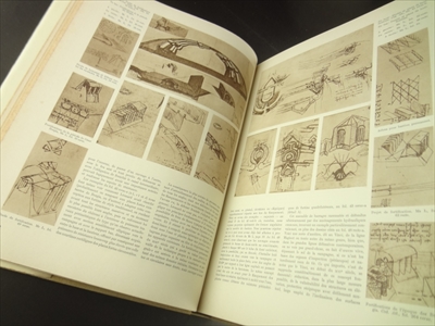 Leonard De Vinci_写真4