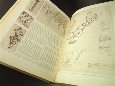 Leonard De Vinci_写真6