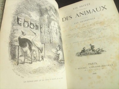 Vie privée et publique des animaux_写真3