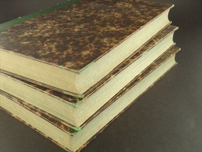 OEuvre illustree de George Sand, tome 1-3 3冊_写真4