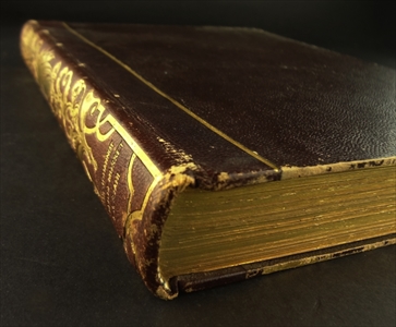 Voyage ou il vous plaira_写真4