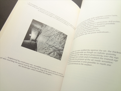 Giuseppe Penone_写真1