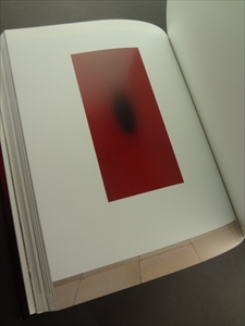 Anish Kapoor_写真1