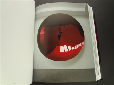 Anish Kapoor_写真2