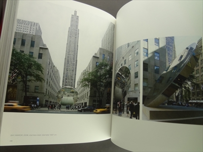 Anish Kapoor_写真3