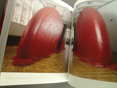 Anish Kapoor_写真5