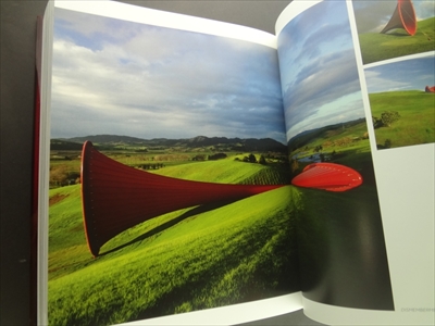 Anish Kapoor_写真6