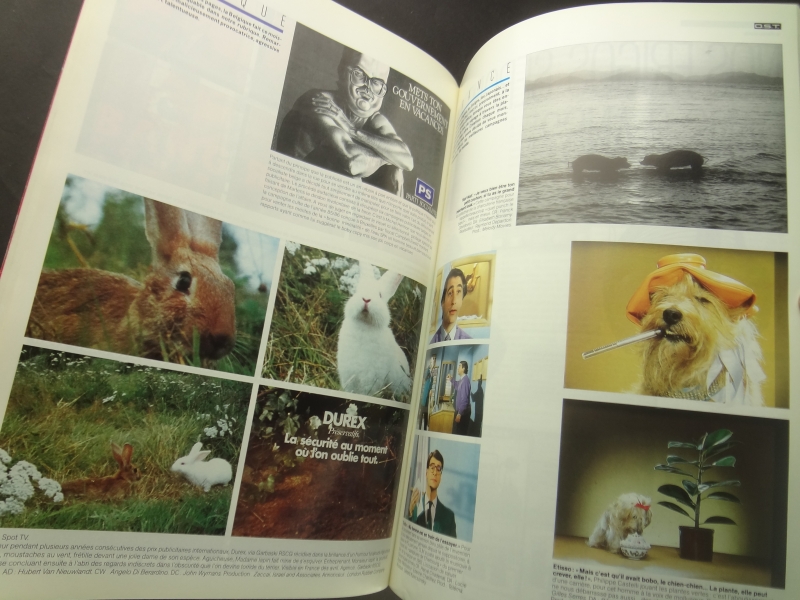 Creation magazine #27 5/19871