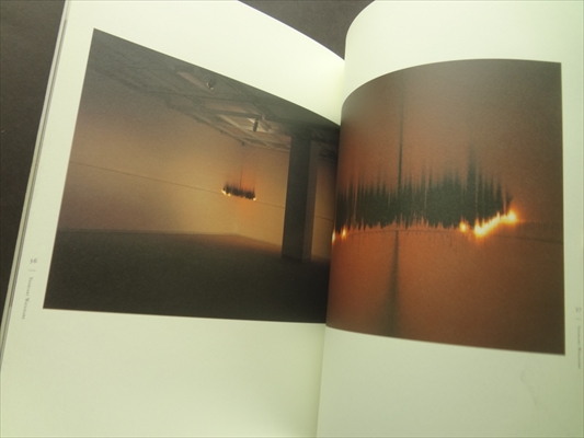 ジ・エッセンシャル-逢坂卓郎、須田悦弘、大塚聡、渡辺好明_写真1