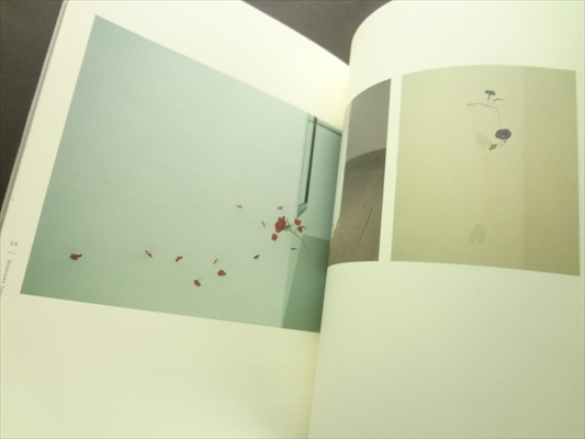 ジ・エッセンシャル-逢坂卓郎、須田悦弘、大塚聡、渡辺好明_写真2