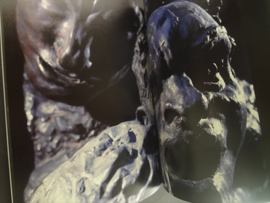 ブールデル/デュフェ展_写真2