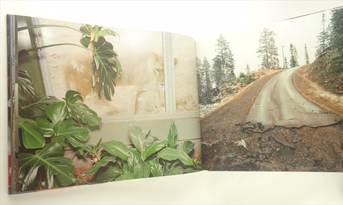 Lars Tunbjork: I Love Boras!_写真2