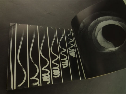 IL 12 Wandelbare Pneus (Convertible Pneus)_写真3