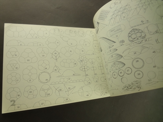 IL 12 Wandelbare Pneus (Convertible Pneus)_写真4