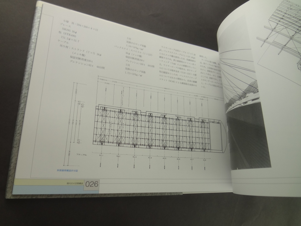 S.D.S. スペース・デザイン・シリーズ 第8巻 大空間3