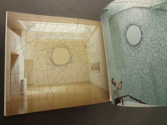 アンディ・ゴールズワージー ふたつの秋_写真2