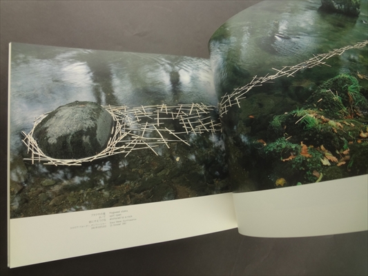 アンディ・ゴールズワージー ふたつの秋_写真3