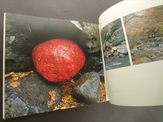 アンディ・ゴールズワージー ふたつの秋_写真4