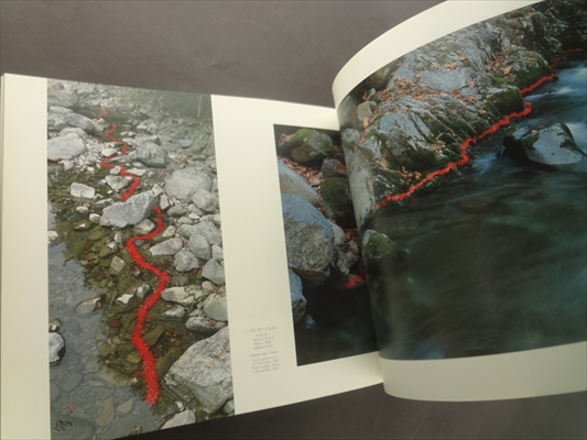 アンディ・ゴールズワージー ふたつの秋_写真5