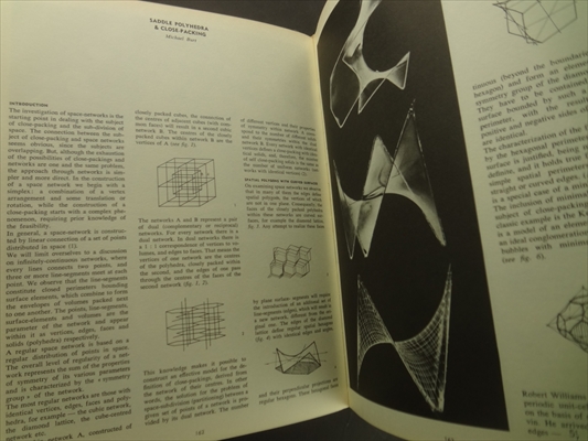 Zodiac #22 Light Structures_写真5