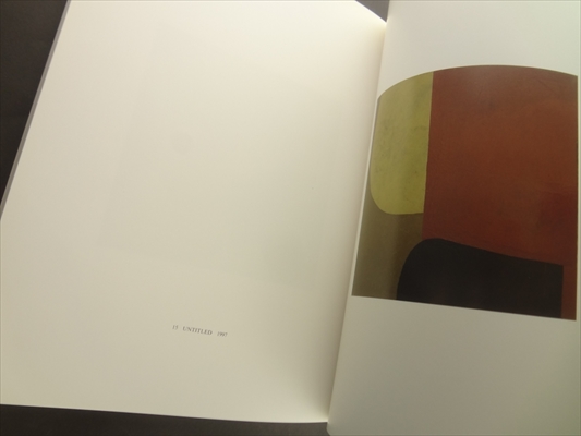 静謐な風景 現代アイルランドの抽象画 リチャード・ゴーマン_写真3