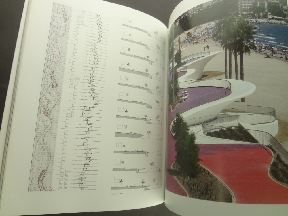 Dlle: Architectural Landscape #3: Ibelian Passage/Post-Industrial Conversation1