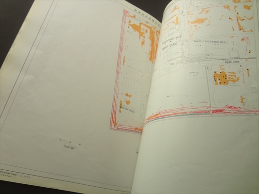 1995年兵庫県南部地震 液状化、地盤変位及び地盤条件/The 1995 Hyogoken-Nanbu(Kobe) Earthquake: Liquefaction, Ground Displacement and Soil Condition in Hanshin Area_写真1