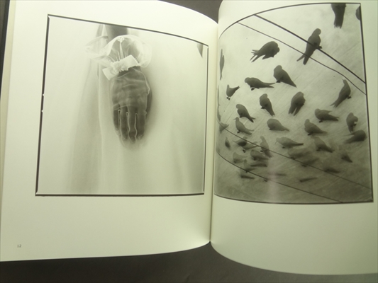 Hiroshi Watanabe Findings_写真1