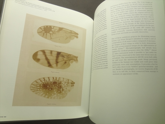 Zivot veci: Idea zatisi ve fotografii 1840-1985 / The Life of Things: The Idea of Still Life in Photography 1840-1985_写真2